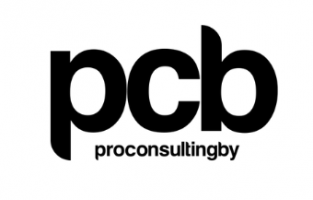 vaza.proconsulting.by